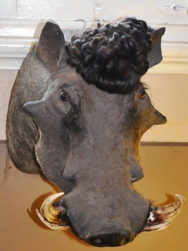 Warthog Trophy Mount | Period: c1970